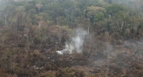 um matina hectares|Com quase 2,5 milhões de hectares queimados, bombeiros de .